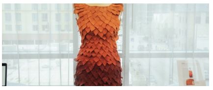 The Fall dress at SXSW